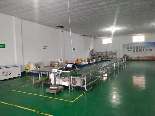 互聯網技術為河南新鄉“菜籃子”工程注入新動能