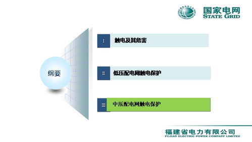 配電網觸電保護技術與網絡技術服務融合創新——李天友會議報告綜述
